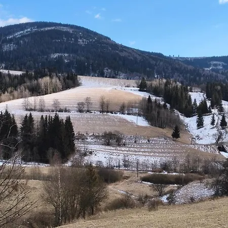 Luxusne - Olivia Telgárt