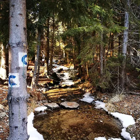 Luxusne - Olivia Appartamento