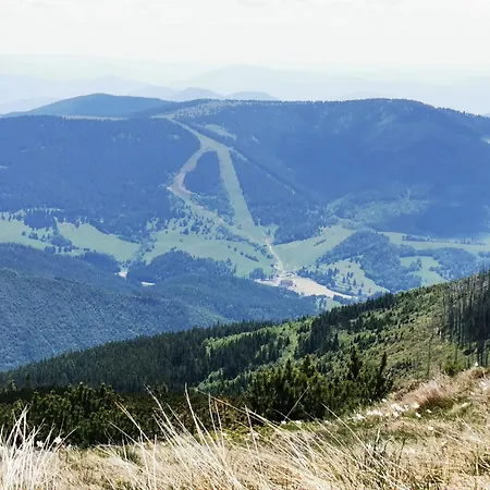 Appartamento Luxusne - Olivia