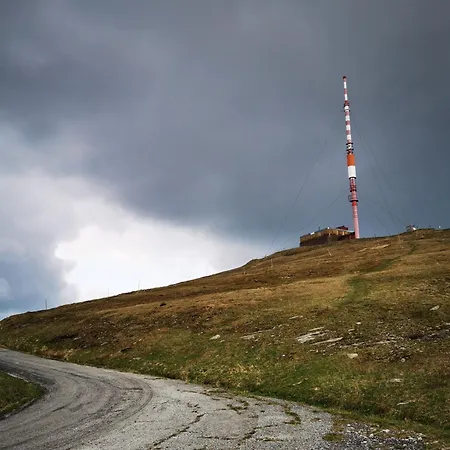 Luxusne - Olivia Telgárt