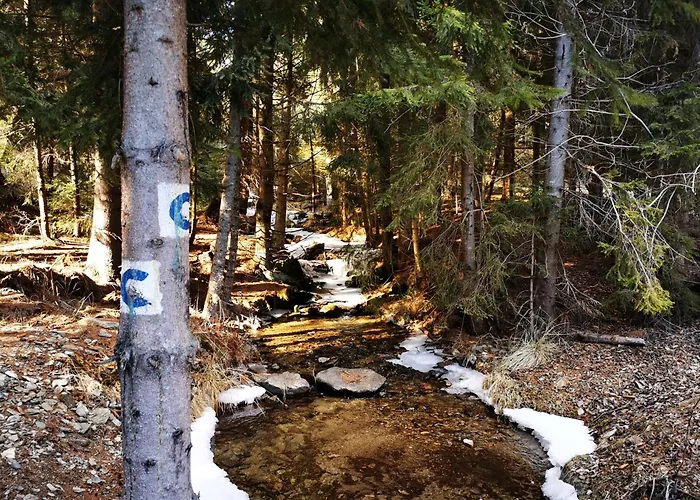 Luxusne - Olivia Apartment